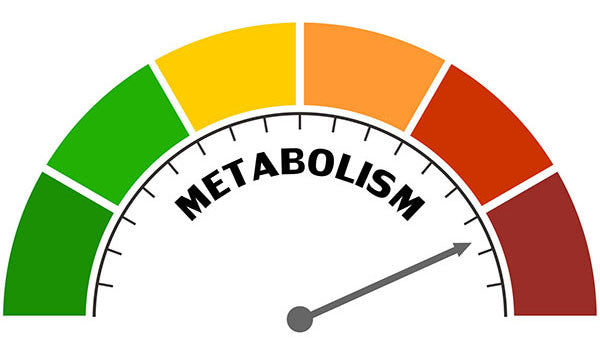 Metabolic Rate vs Metabolic Health: Understanding the Key Differences