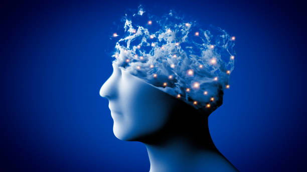 Brain Fog and Metabolism