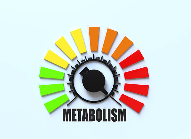 Vitamin Deficiencies and Metabolism