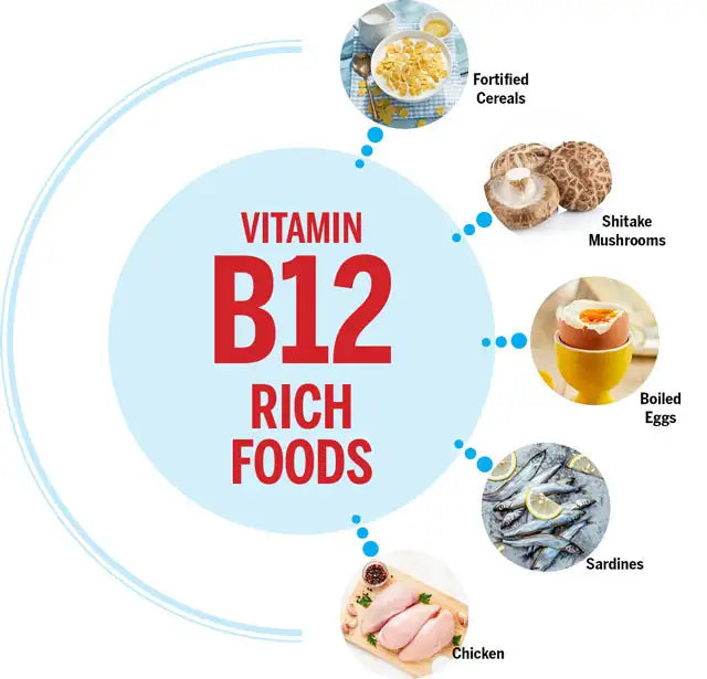 10 Vitamin B12 Foods in Indian Cuisine