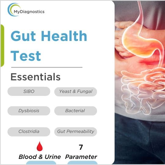 Gut Health Test - Leaky Gut Diagnosis At Home