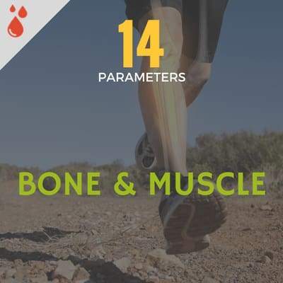 MyDiagnostics Bone and Muscle Health