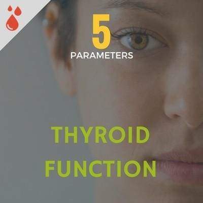 Thyroid Function Check - Comprehensive Thyroid Profile Test in Ahmedabad